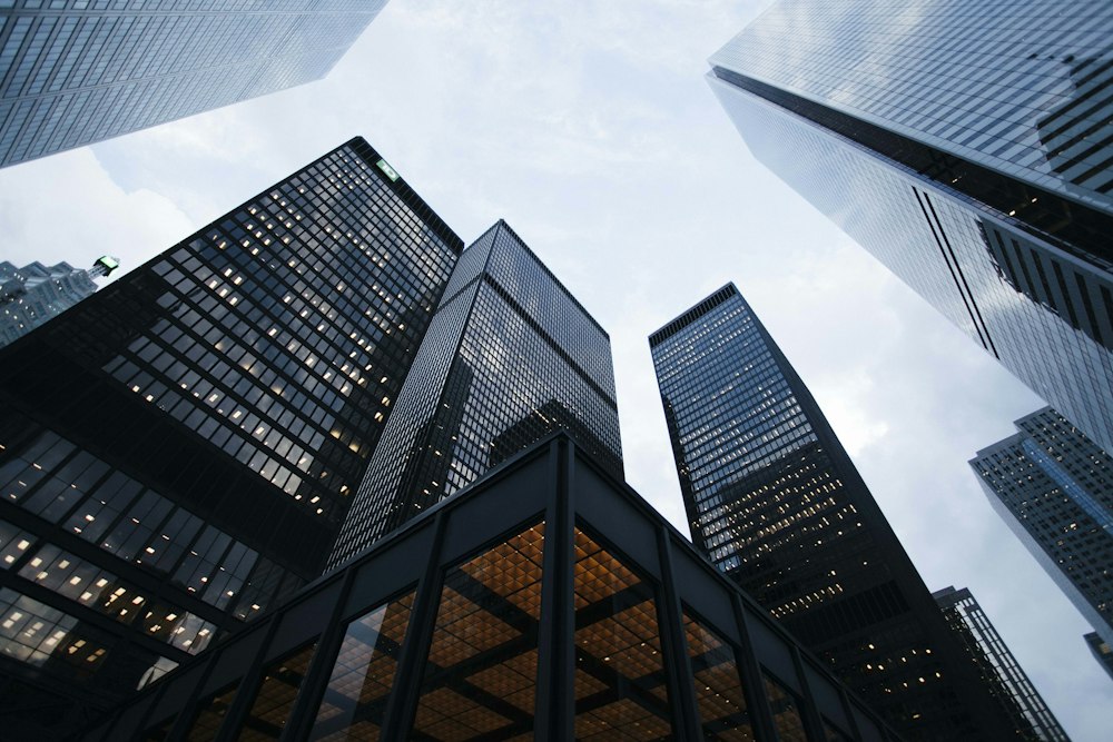 Financial services building - Wealth Expert Point